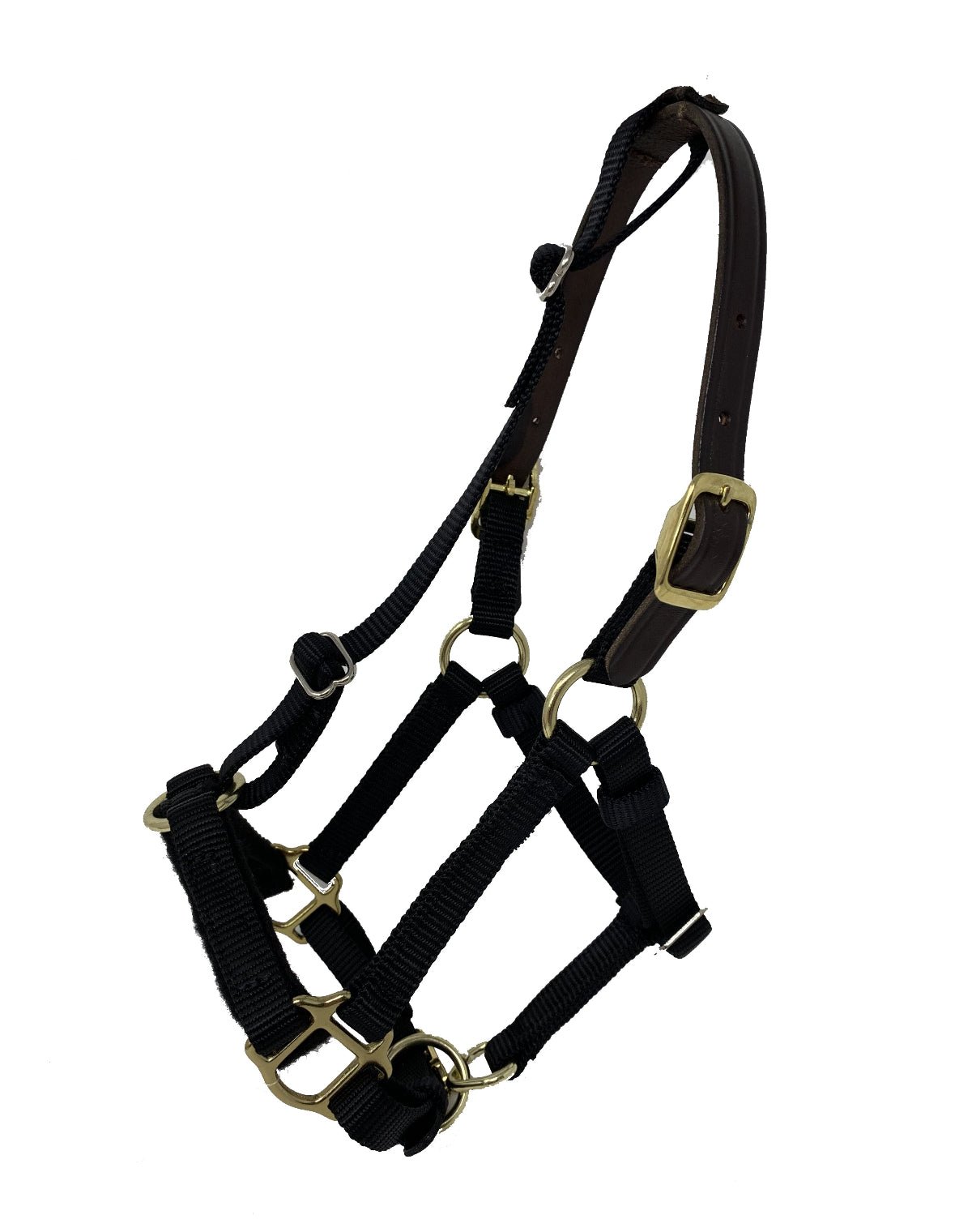 GG Equine GreenGuard Mini & Small Pony Halters - Equiluxe Tack
