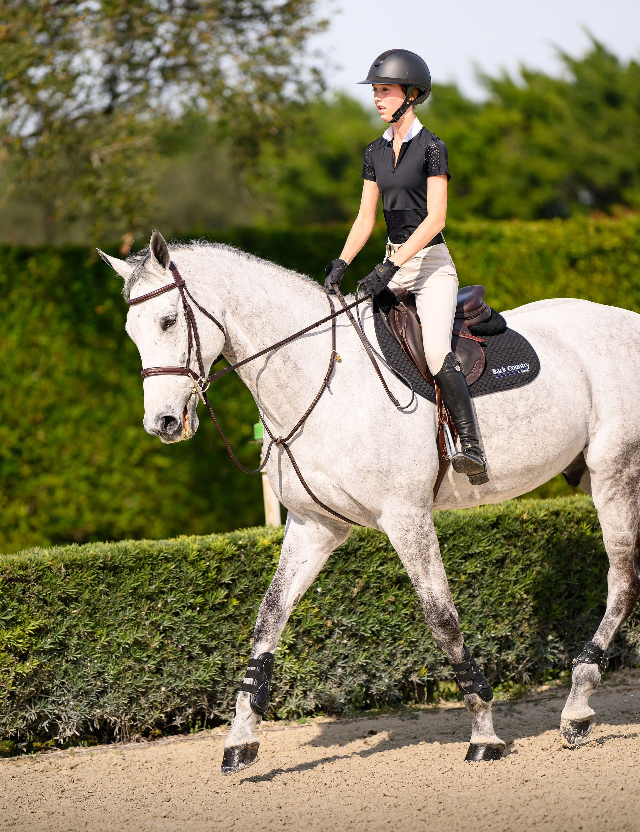 Grace Short Sleeve Competition Shirt - Euphoric Equestrian - Equiluxe Tack