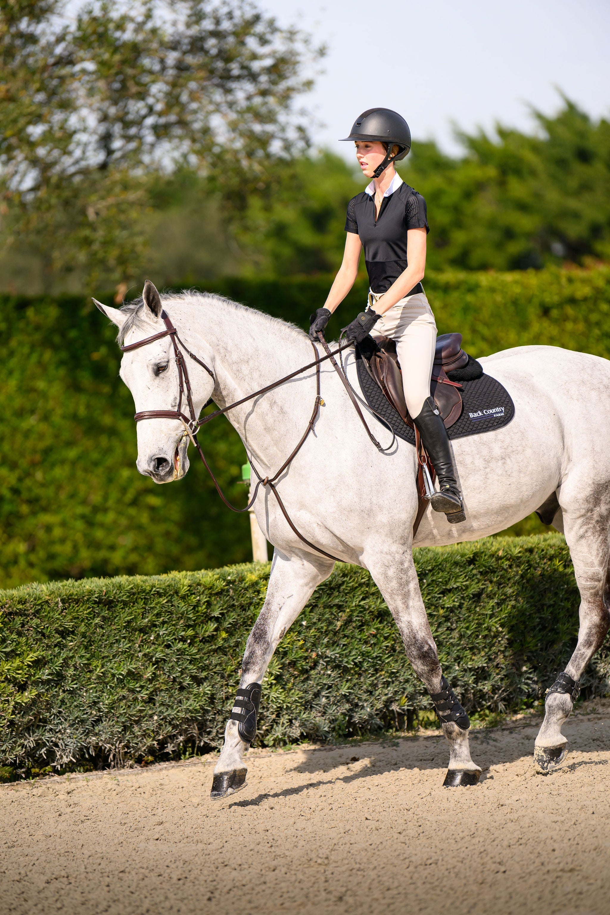 Grace Short Sleeve Competition Shirt - Euphoric Equestrian - Equiluxe Tack