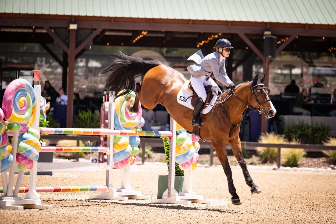Grand Prix Ladies EQJ 3 Button Show Coat, NY Tech Fabric, Cadet Blue - Equiluxe Tack