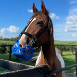 GreenGuard Grazing Muzzle - GG Equine - Equiluxe Tack