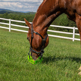 GreenGuard Grazing Muzzle - GG Equine - Equiluxe Tack