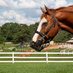 GreenGuard Grazing Muzzle - GG Equine - Equiluxe Tack