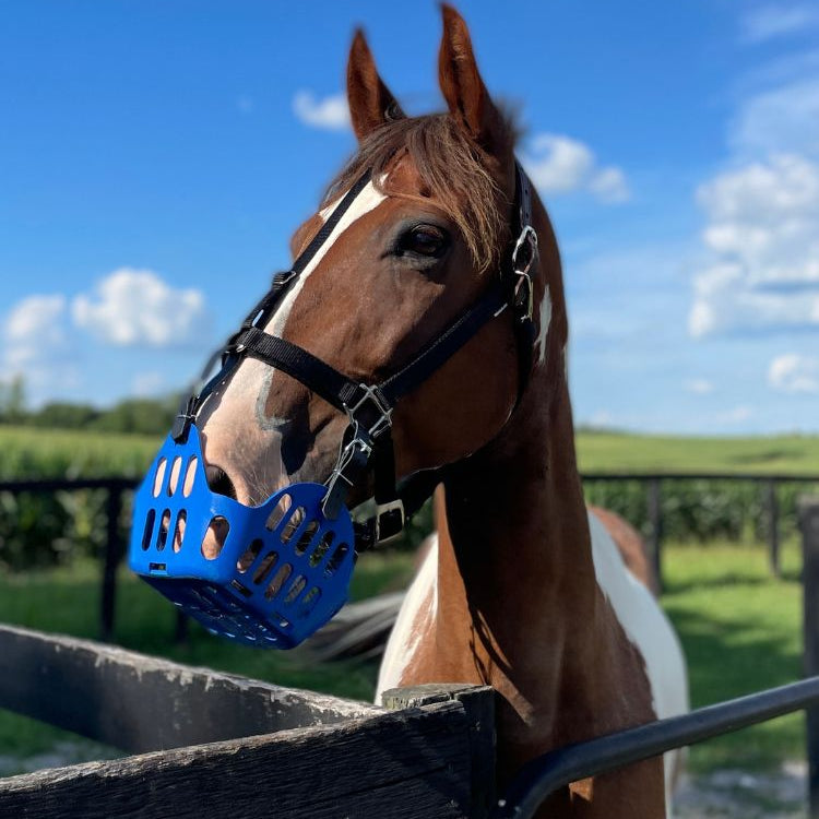 GreenGuard Premium Breakaway Halter - GG Equine - Equiluxe Tack