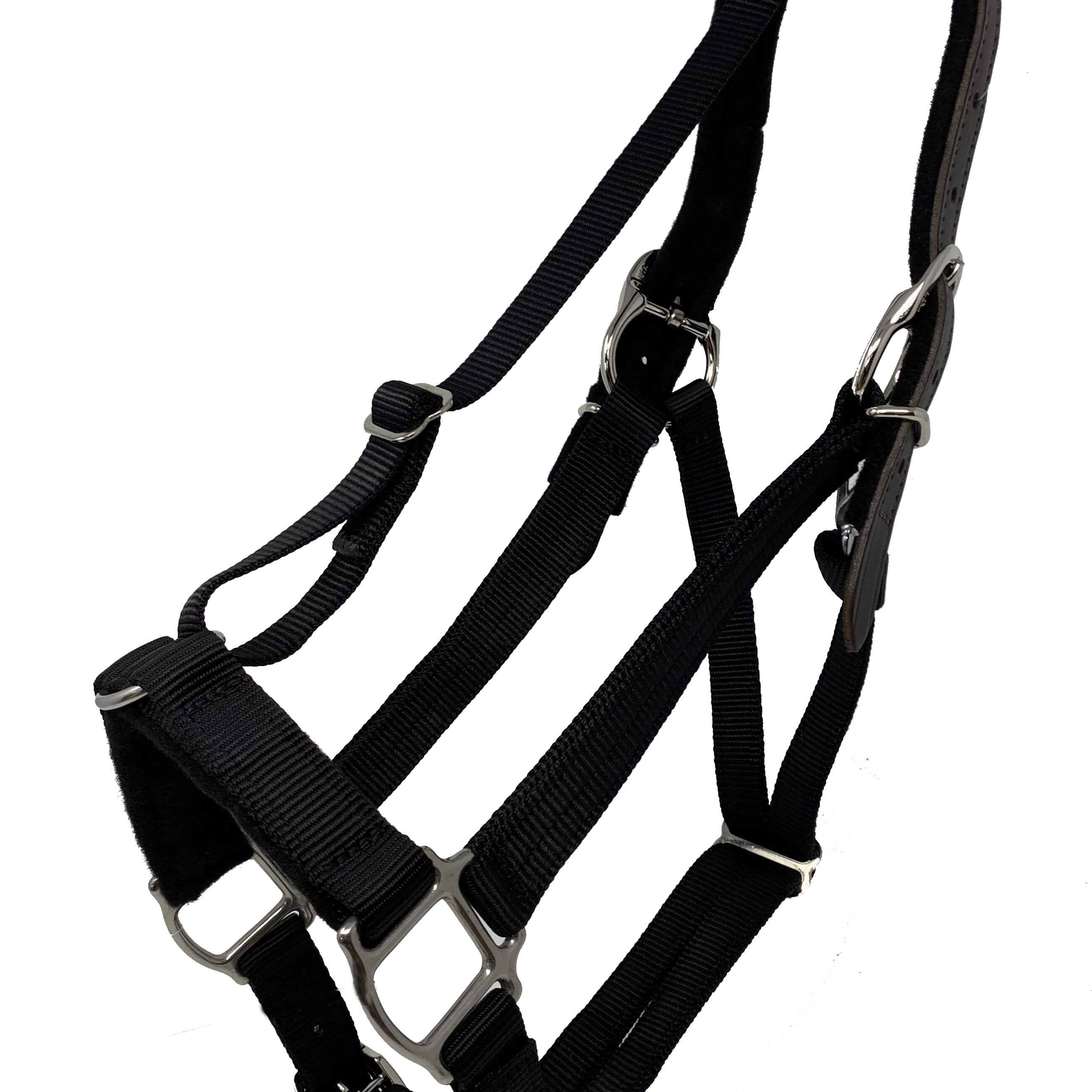 GreenGuard Premium Breakaway Halter - GG Equine - Equiluxe Tack