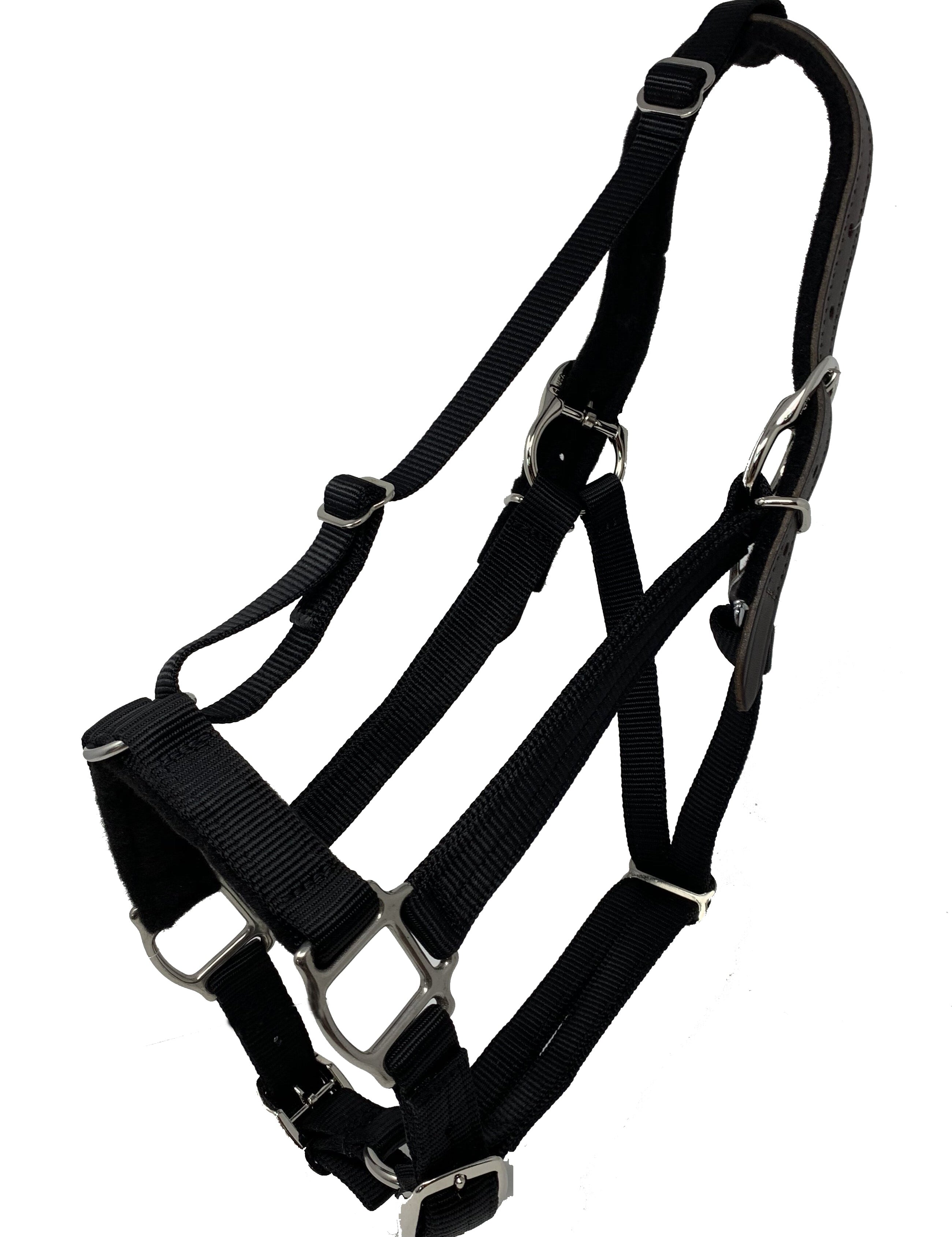 GreenGuard Premium Breakaway Halter - GG Equine - Equiluxe Tack