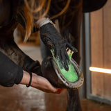 Grooming Deluxe Epsom Salt - Equiluxe Tack