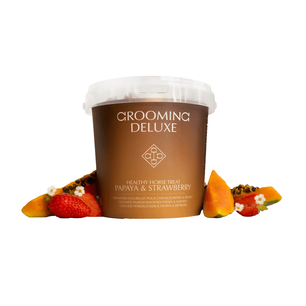 Grooming Deluxe Healthy Horse Treat 500g - Equiluxe Tack