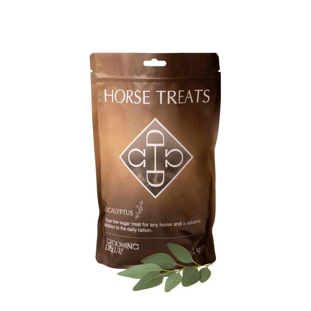 Grooming Deluxe Healthy Horse Treat Apple - Equiluxe Tack