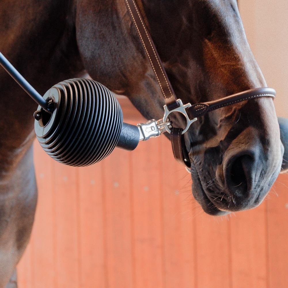 Grooming Deluxe Lead & Wall Protection Rubber Ball Pro - Equiluxe Tack
