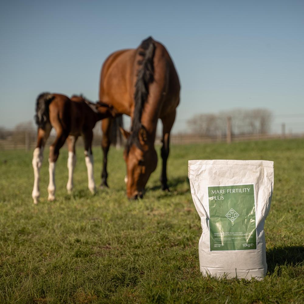 Grooming Deluxe Mare Fertility Plus - Equiluxe Tack