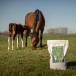 Grooming Deluxe Mare Fertility Plus - Equiluxe Tack