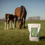 Grooming Deluxe Mare Fertility Plus - Equiluxe Tack
