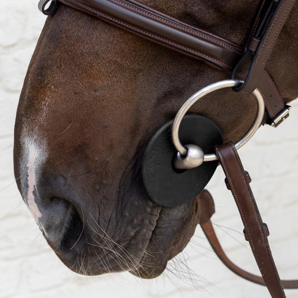 Grooming Deluxe Silicone Bit Guard Pair - Equiluxe Tack