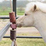 Grooming Deluxe Wooden Relax Horse Toy Sammy - Equiluxe Tack