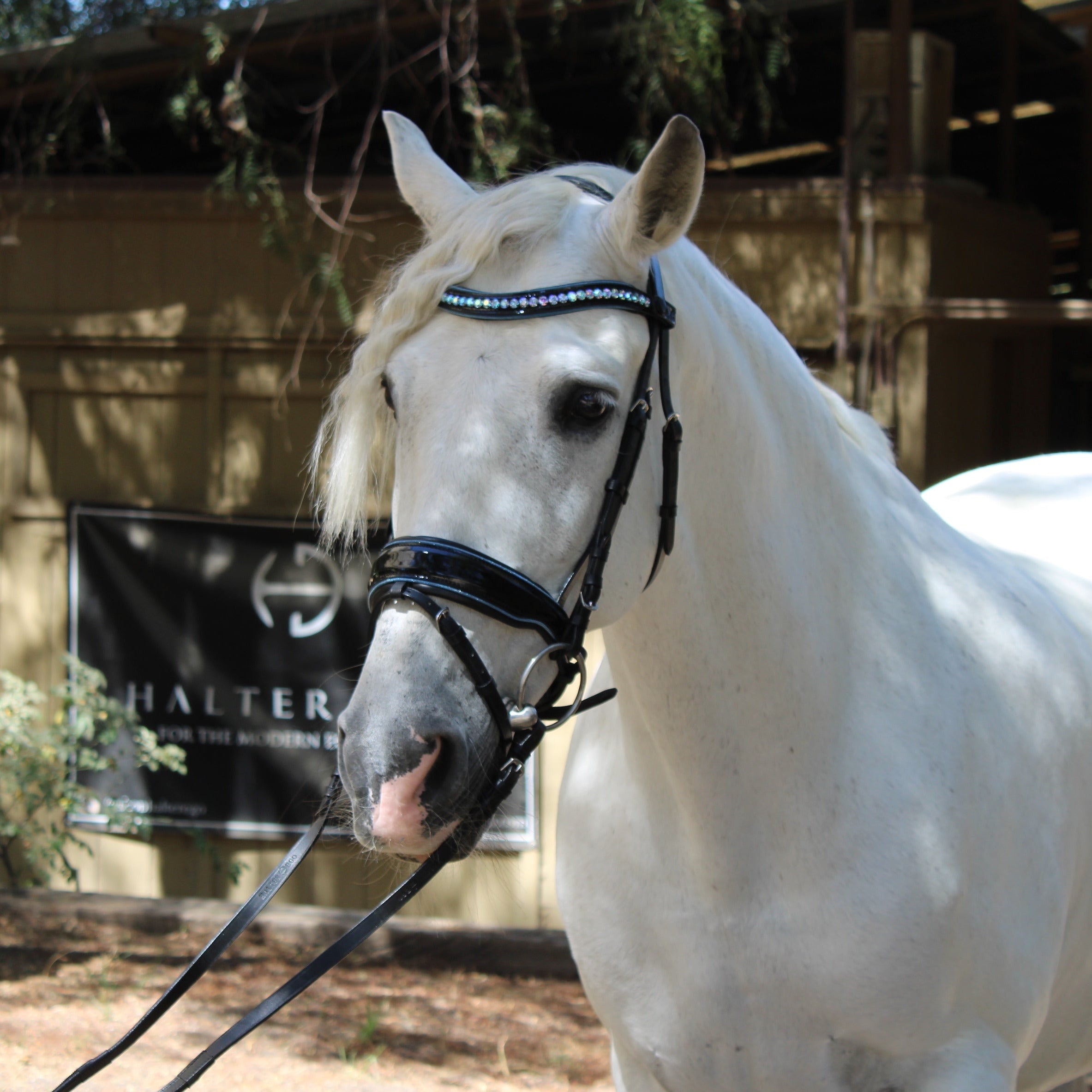 Halter Ego Adriana - Black Patent Blue Sparkle Snaffle Bridle - Halter Ego® - Equiluxe Tack