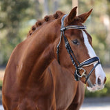 Halter Ego Alexandria - Black Patent Leather Snaffle Bridle with Cream Padding & Rose Gold Piping - Halter Ego® - Equiluxe Tack