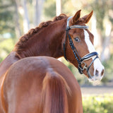 Halter Ego Alexandria - Black Patent Leather Snaffle Bridle with Cream Padding & Rose Gold Piping - Halter Ego® - Equiluxe Tack