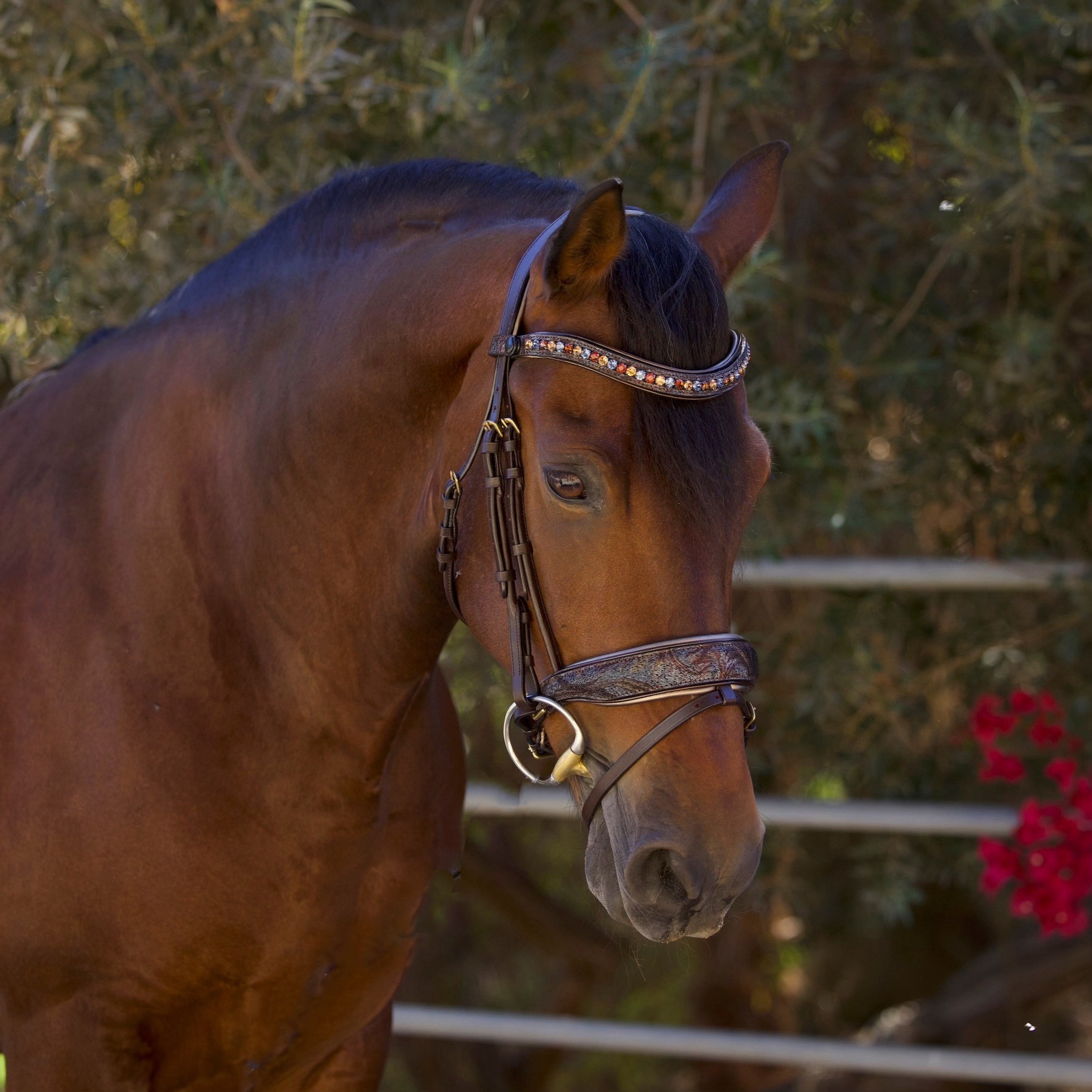 Halter Ego Aspen Brown Leather Snaffle Bridle - Halter Ego® - Equiluxe Tack