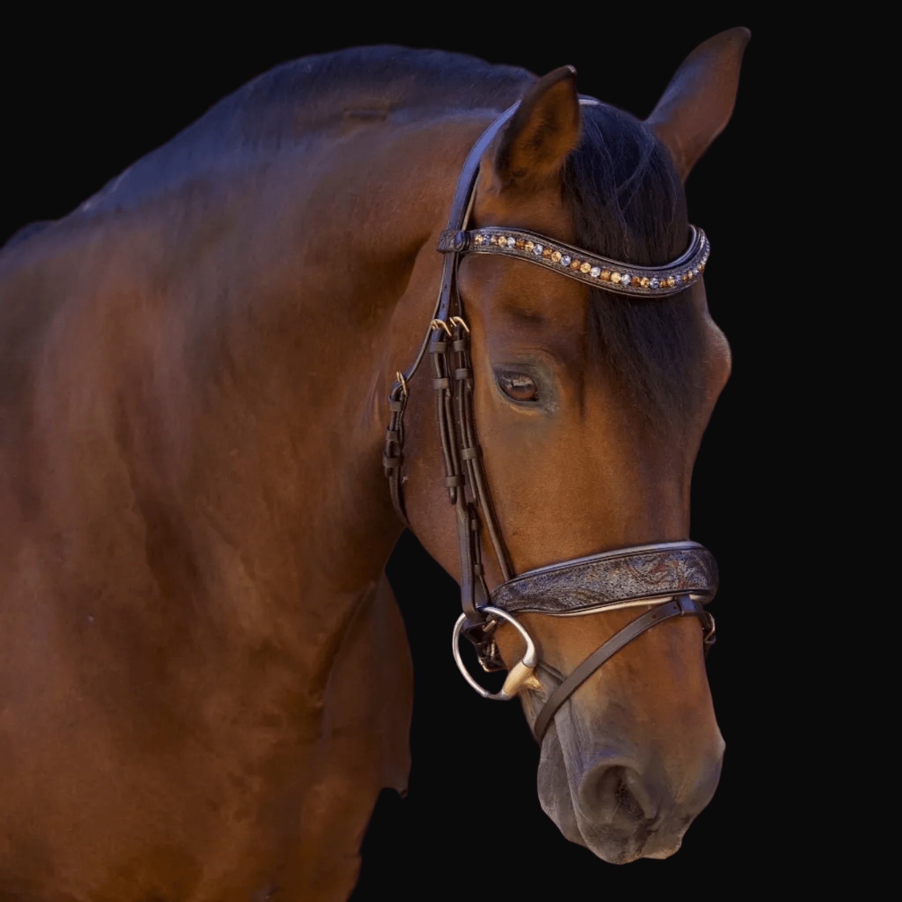 Halter Ego Aspen Leather Snaffle Bridle with Removable Flash - Equiluxe Tack