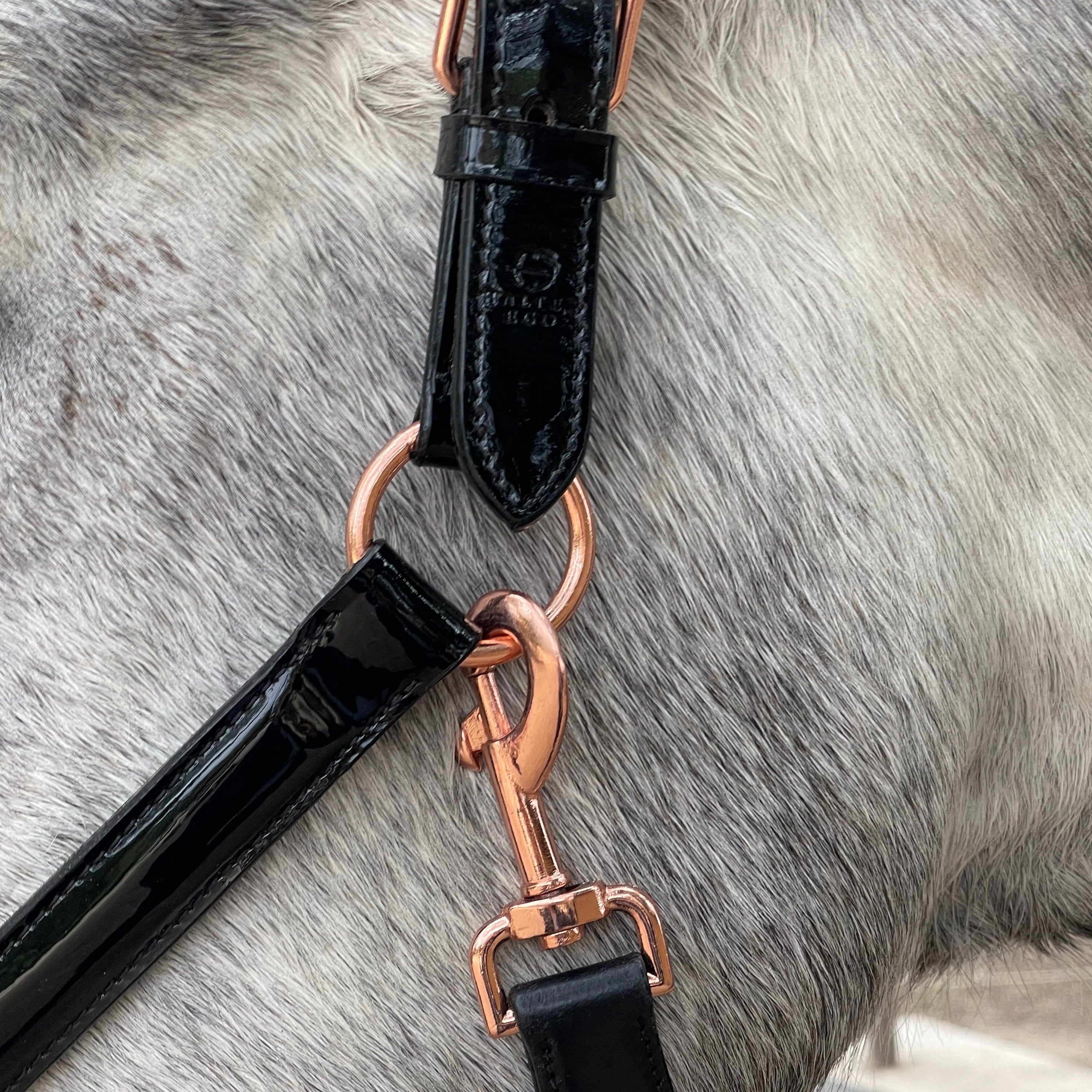 Halter Ego Aurelia - Black Patent Conical Padded Halter with Rose Gold Piping - Halter Ego® - Equiluxe Tack