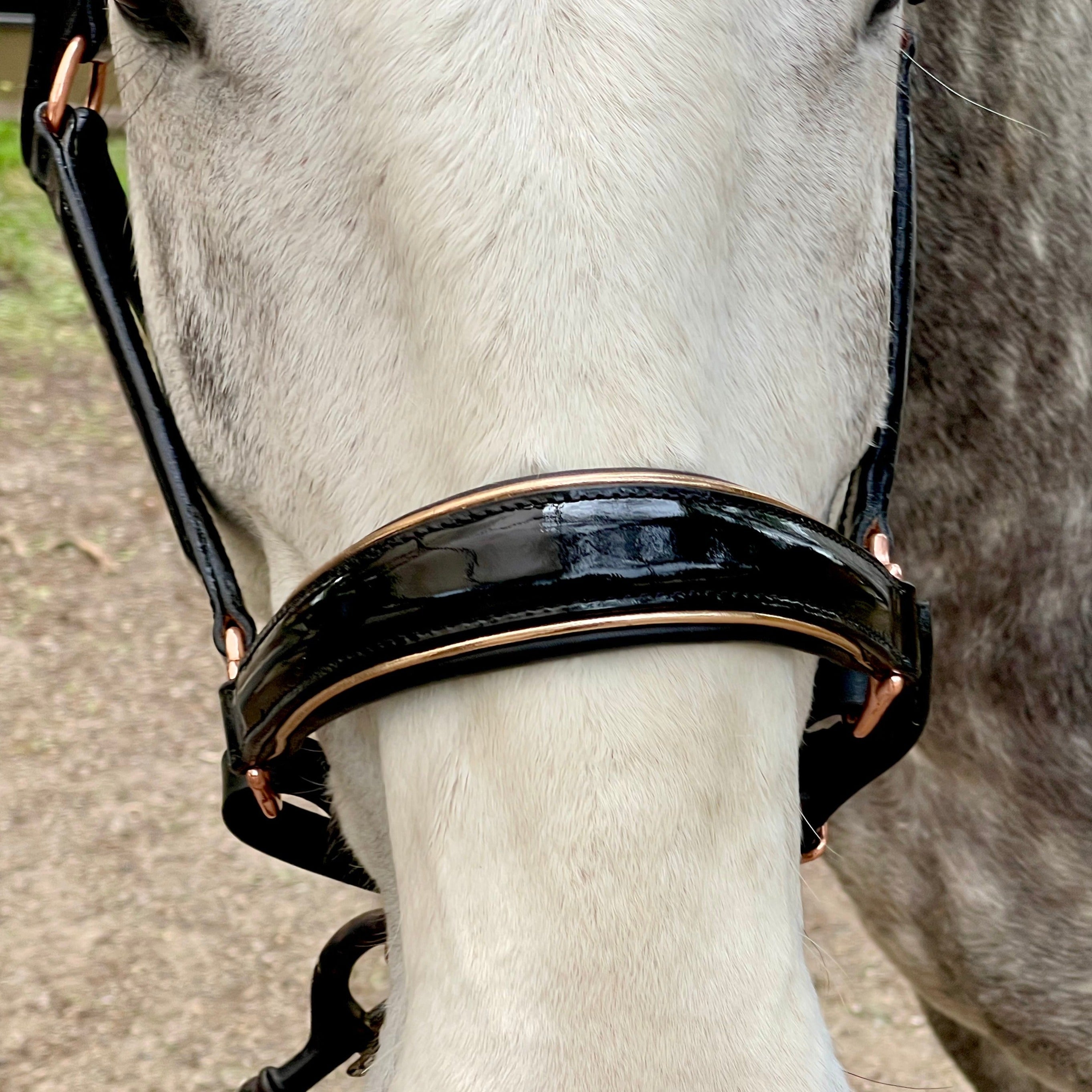 Halter Ego Aurelia - Black Patent Conical Padded Halter with Rose Gold Piping - Halter Ego® - Equiluxe Tack