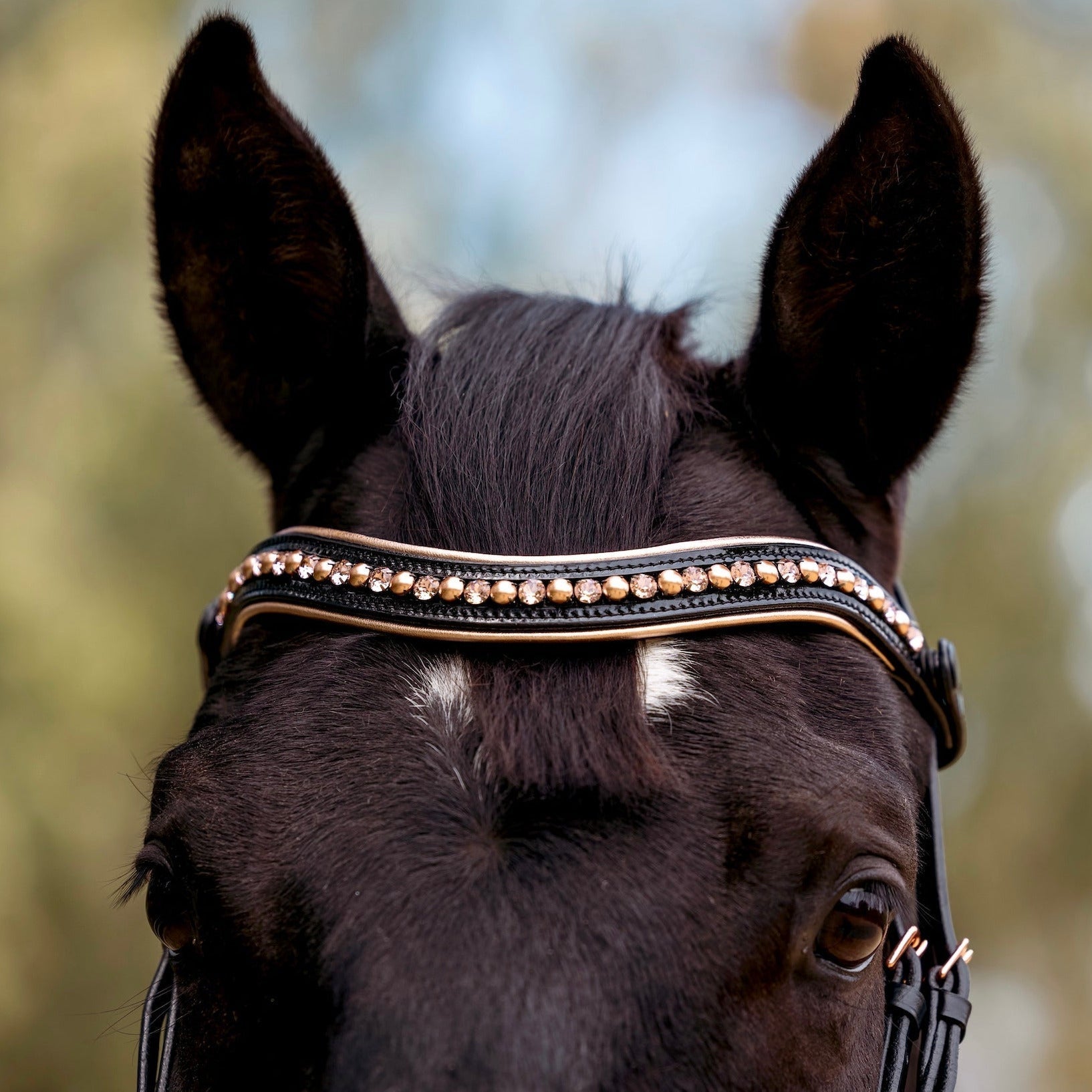 Halter Ego Aurelia Rose Gold Black Patent Snaffle Bridle with REMOVABLE FLASH - Halter Ego® - Equiluxe Tack