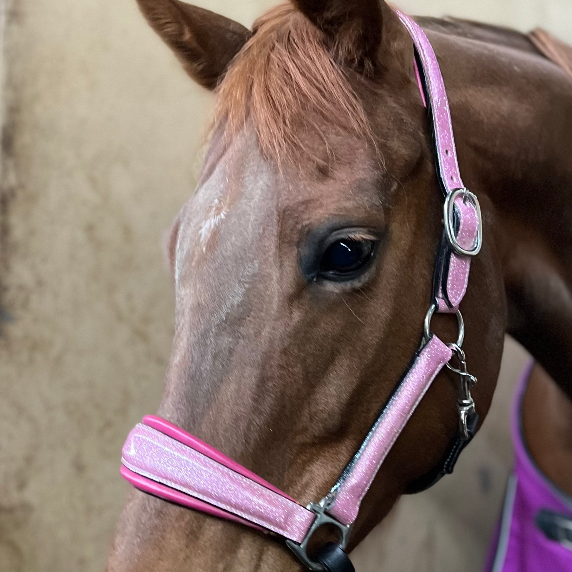 Halter Ego Barbie Pink Sparkle Leather Halter - Halter Ego® - Equiluxe Tack