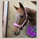 Halter Ego Barbie Pink Sparkle Leather Halter - Halter Ego® - Equiluxe Tack