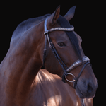 Halter Ego Baroque Black Snaffle Bridle with Light Brown Padding - Equiluxe Tack