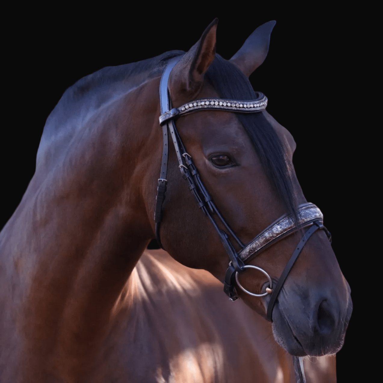 Halter Ego Baroque Black Snaffle Bridle with Light Brown Padding - Equiluxe Tack