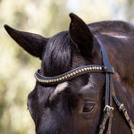 Halter Ego Birmingham - Non - Patent Black Leather Double Bridle - Halter Ego® - Equiluxe Tack