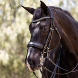 Halter Ego Birmingham - Non - Patent Black Leather Double Bridle - Halter Ego® - Equiluxe Tack