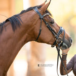 Halter Ego Black Leather Patent Croc H.M. Safari Snaffle Bridle with Removable Flash - Halter Ego® - Equiluxe Tack