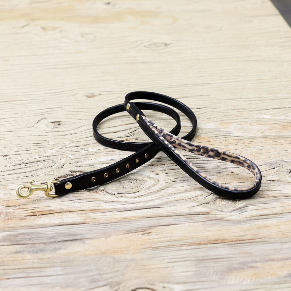 Halter Ego® Black Leather Safari Dog Leash - Halter Ego® - Equiluxe Tack