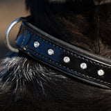 Halter Ego® Black Patent Celebrity Dog Collar - Halter Ego® - Equiluxe Tack