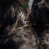 Halter Ego® Black Patent Thea Dog Collar - Halter Ego® - Equiluxe Tack