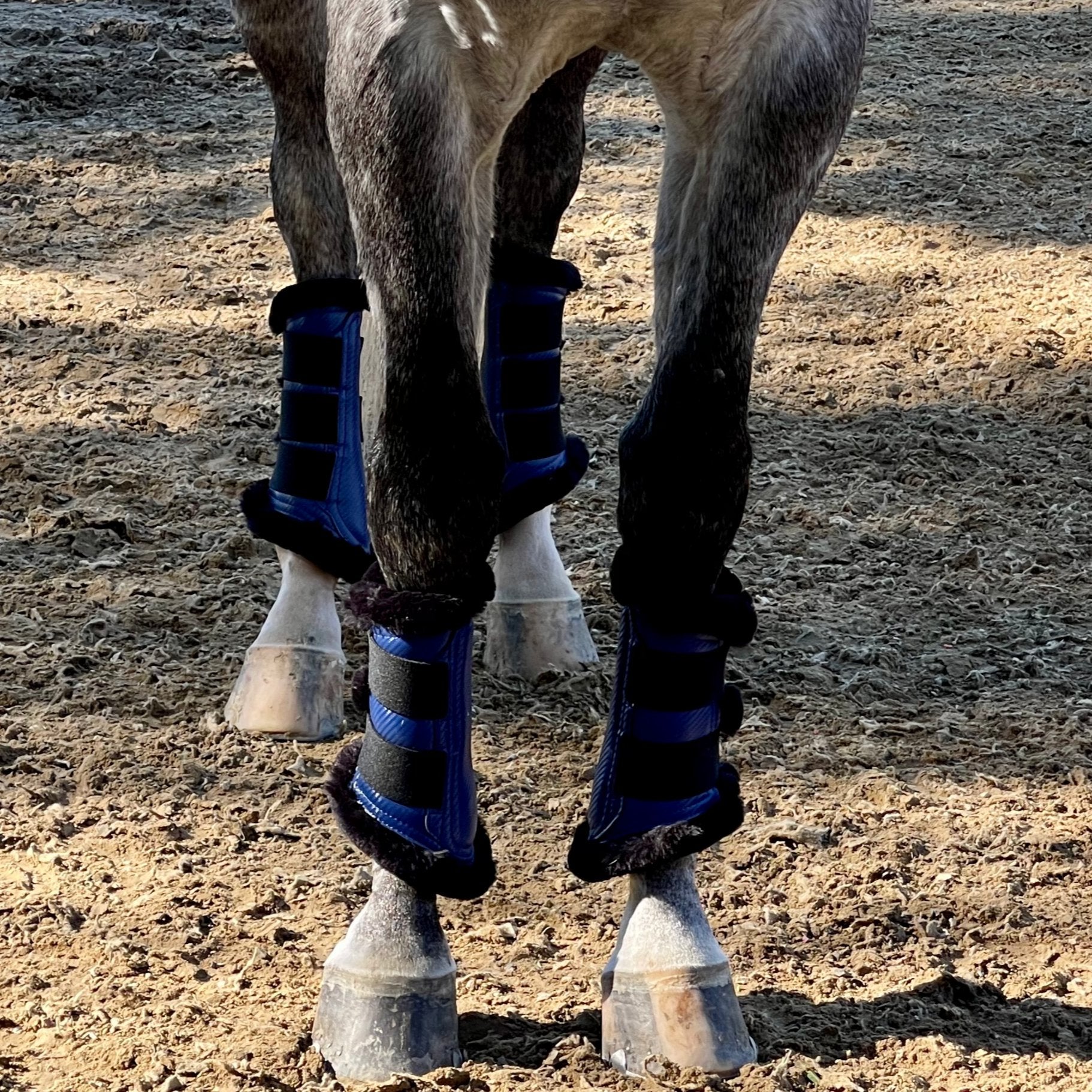 Halter Ego® Brushing Boots - Royal Blue - Halter Ego® - Equiluxe Tack