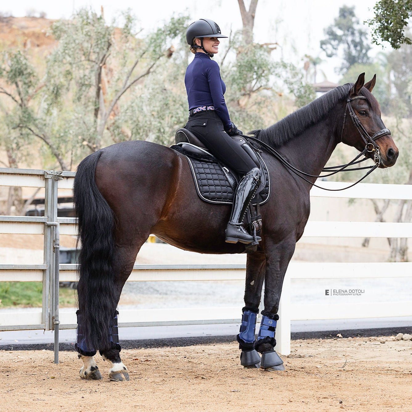 Halter Ego® Brushing Boots - Royal Blue - Halter Ego® - Equiluxe Tack