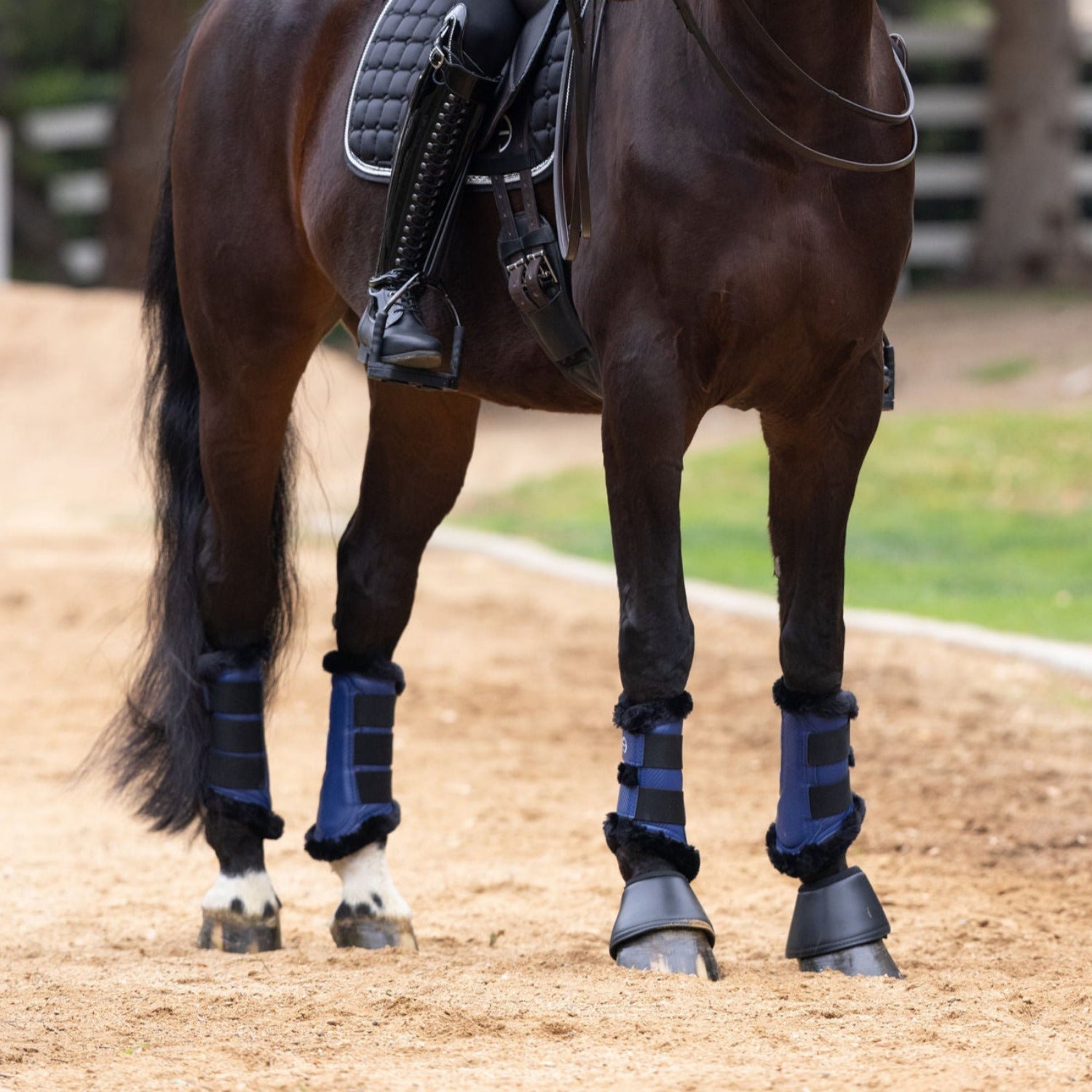 Halter Ego® Brushing Boots - Royal Blue - Halter Ego® - Equiluxe Tack