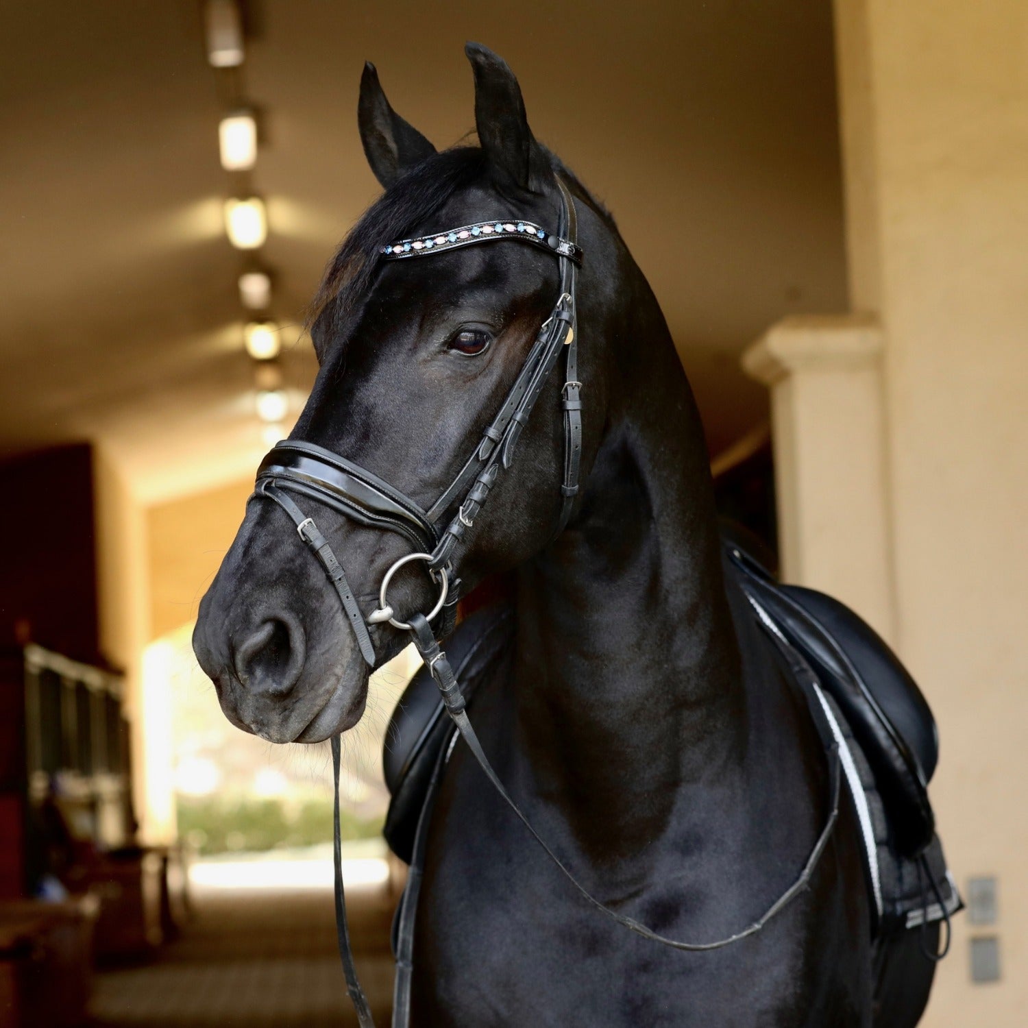 Halter Ego® 'Calisa' Patent Snaffle Bridle - Halter Ego® - Equiluxe Tack