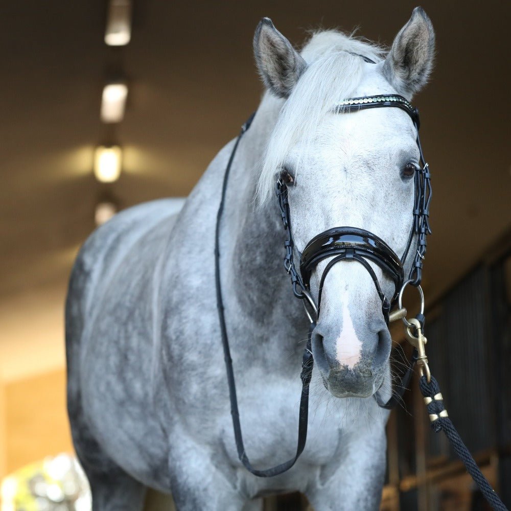 Halter Ego® 'Calisa' Patent Snaffle Bridle - Halter Ego® - Equiluxe Tack