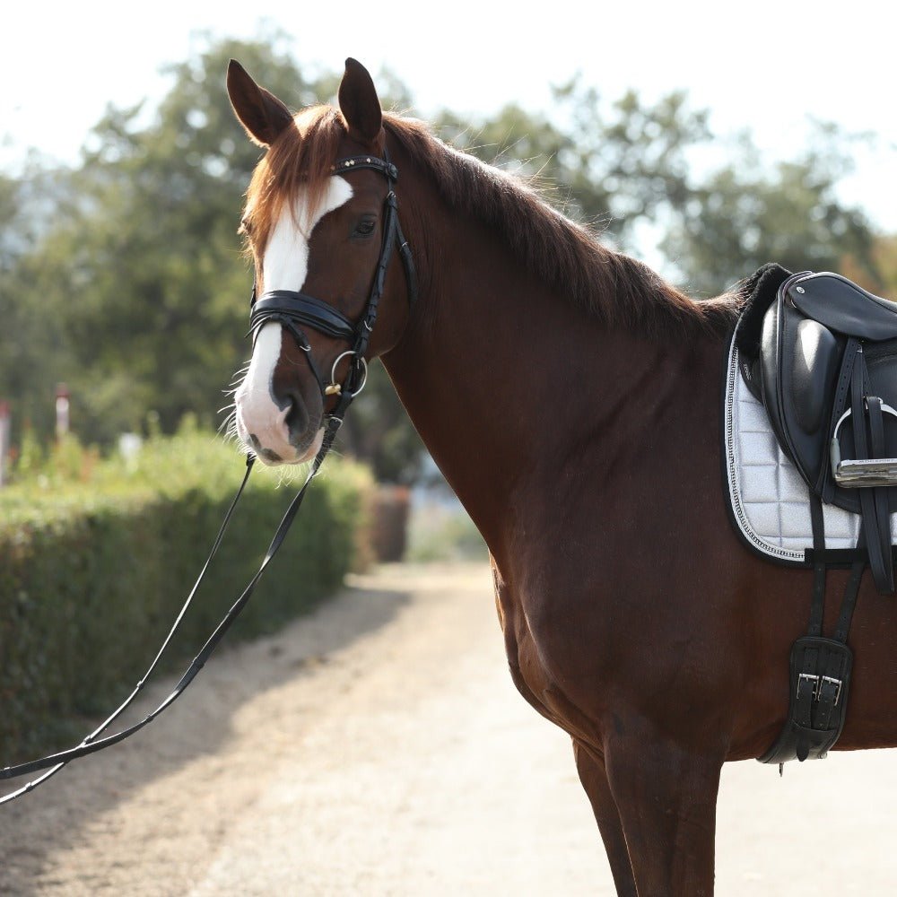 Halter Ego® 'Calisa' Patent Snaffle Bridle - Halter Ego® - Equiluxe Tack