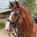 Halter Ego® Crystal Patent Browband - Caramel Honey - Halter Ego® - Equiluxe Tack