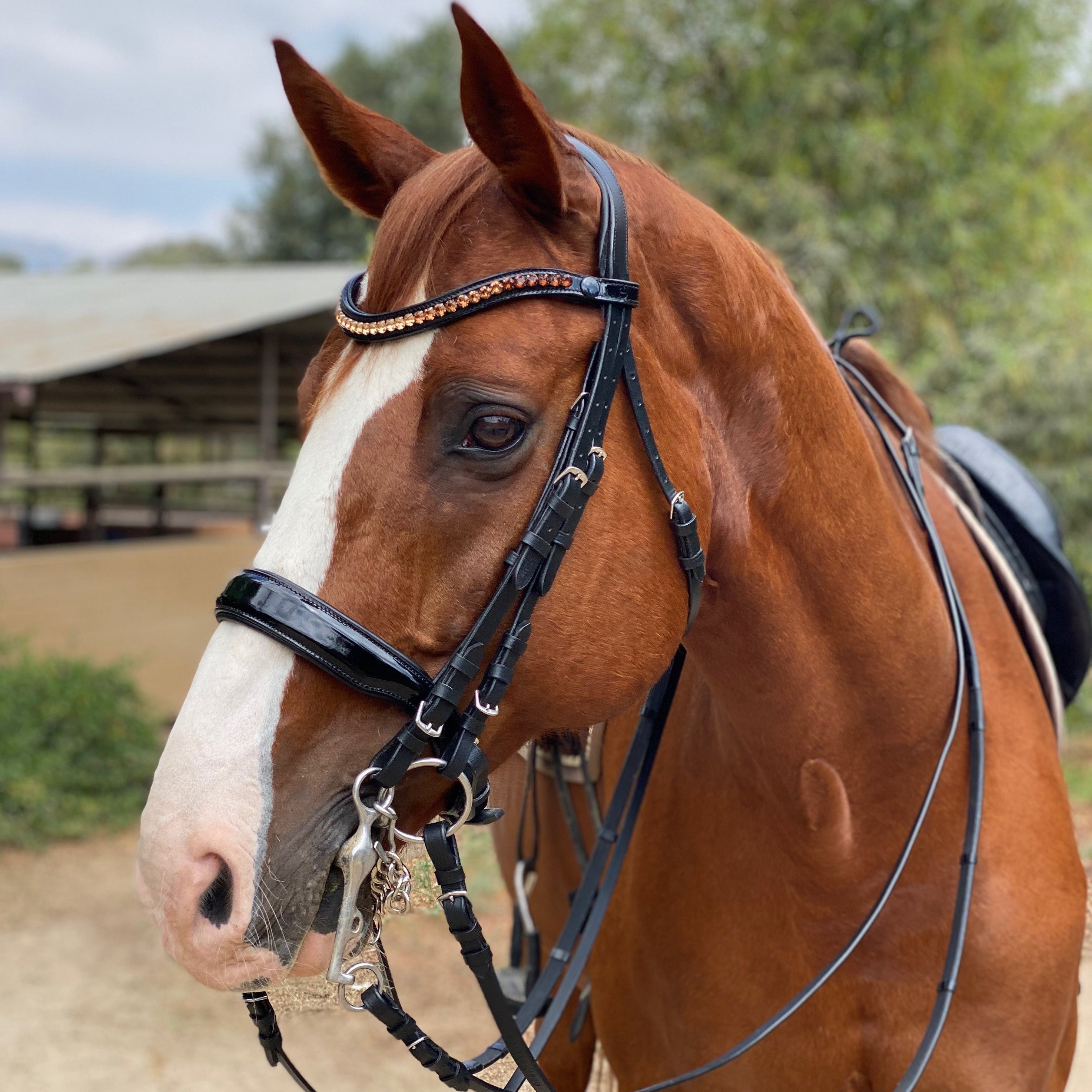 Halter Ego® Crystal Patent Browband - Caramel Honey - Halter Ego® - Equiluxe Tack