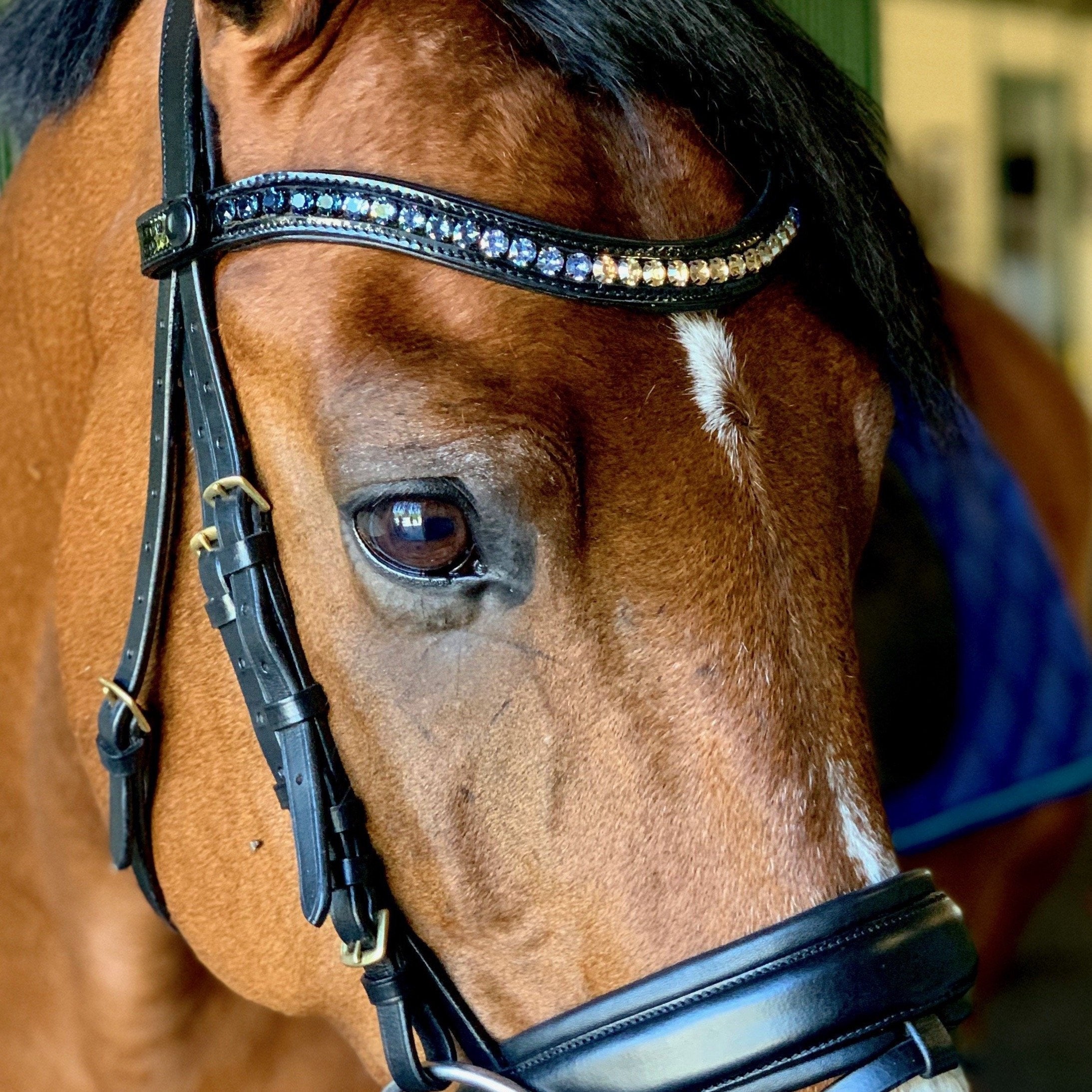 Halter Ego® Crystal Patent Browband - Dusk To Dawn - Halter Ego® - Equiluxe Tack