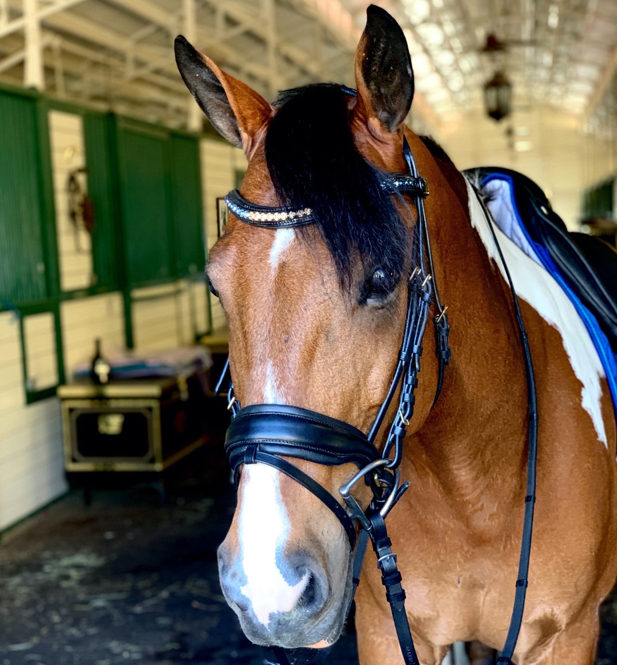 Halter Ego® Crystal Patent Browband - Dusk To Dawn - Halter Ego® - Equiluxe Tack