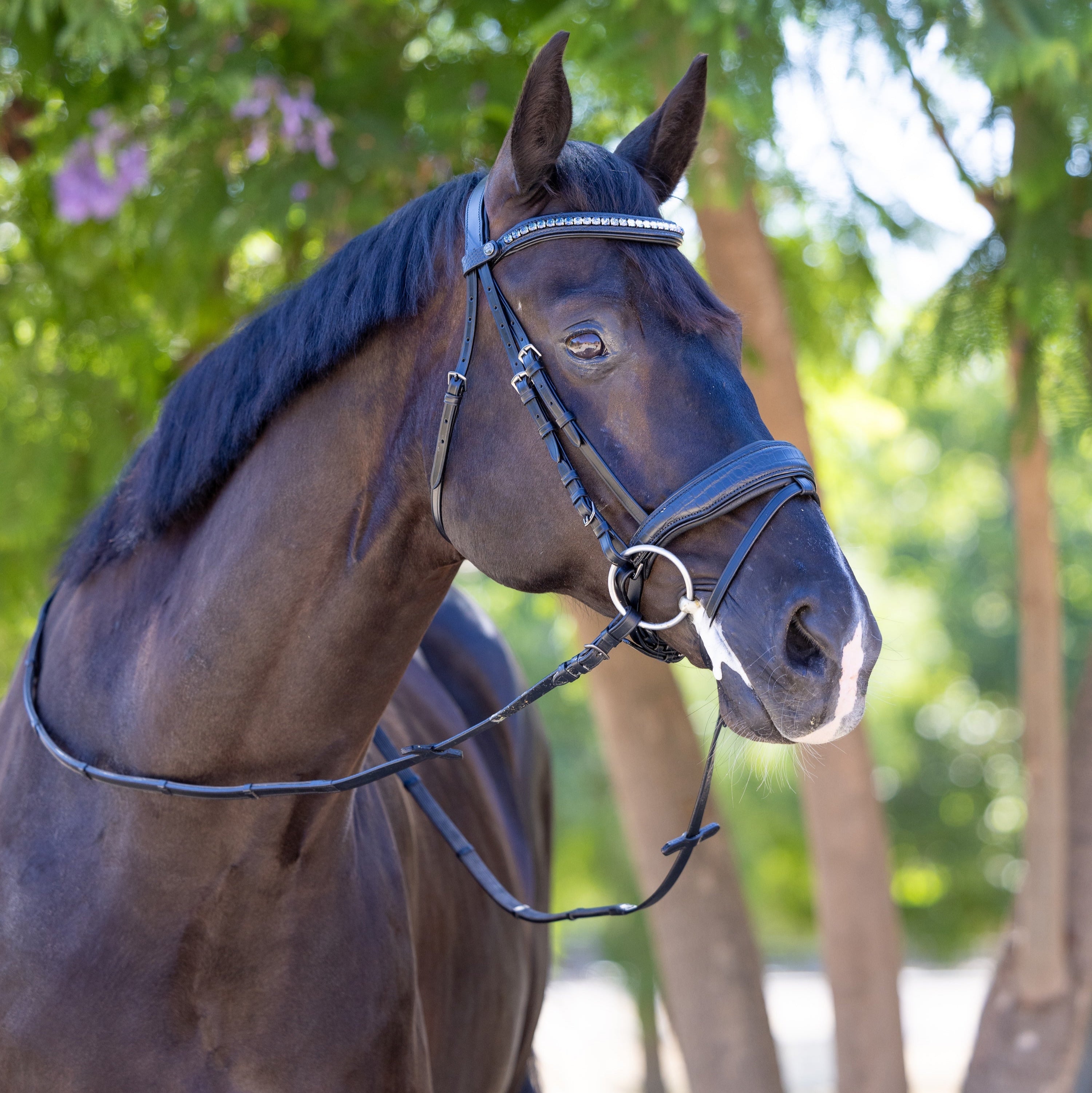 Halter Ego Doc Marten Black Leather Snaffle Bridle with Removable Flash - Halter Ego® - Equiluxe Tack