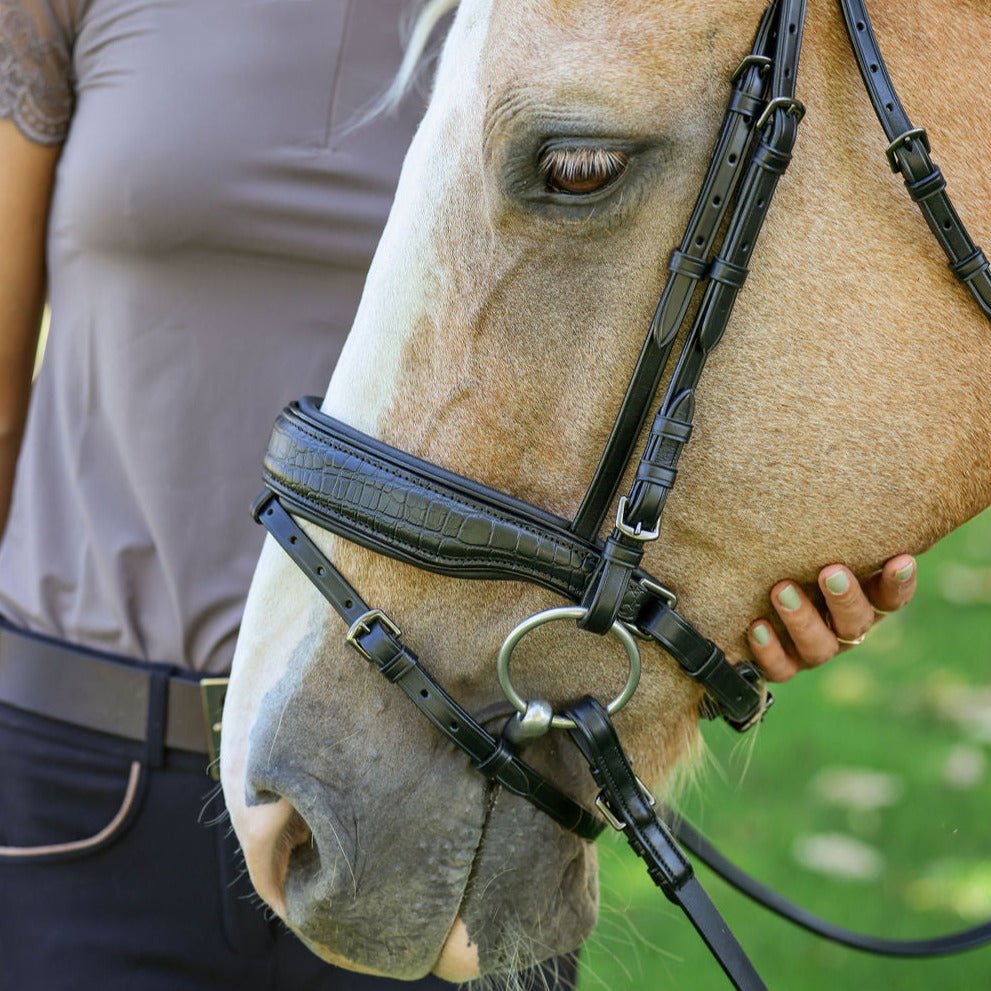 Halter Ego Doc Marten Black Leather Snaffle Bridle with Removable Flash - Halter Ego® - Equiluxe Tack