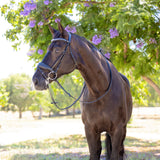 Halter Ego Doc Marten Black Leather Snaffle Bridle with Removable Flash - Halter Ego® - Equiluxe Tack